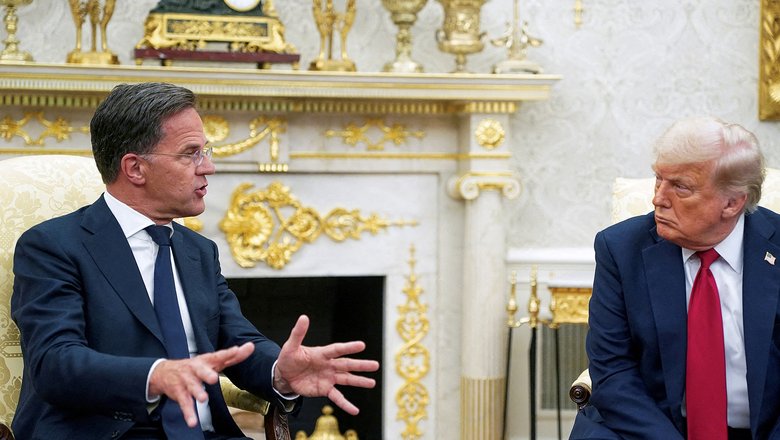 Эксперт раскрыл, о чем Рютте будет говорить на встрече с Трампом