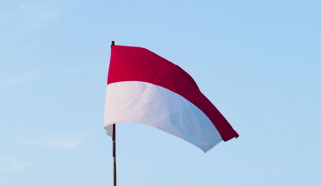 Губернатор Бали заявил о ликвидации на острове русской и украинской деревень