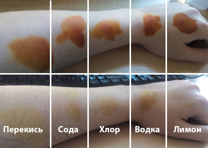 Вот результаты первого тура. ¦Фото: novate.ru.