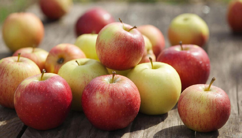 Невкусная диета Андропова: Почему она всех поражала?