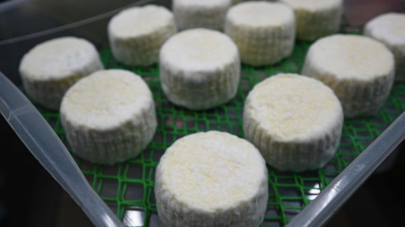 Россия заготовила асимметричный ответ на новую угрозу. Понравится не всем