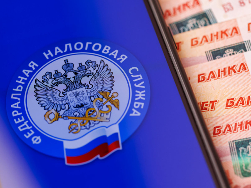 «Сидят в убытках»: в России рухнули налоговые сборы с малого бизнеса на фоне повышения НДС