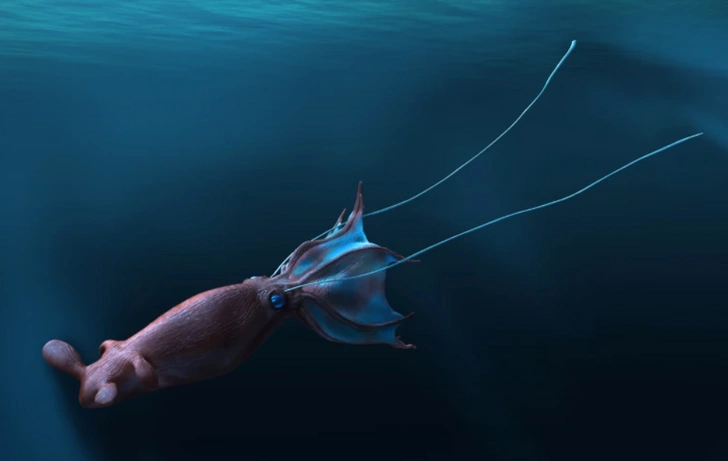 Следы морских чудовищ: существовали ли кракены во времена динозавров?