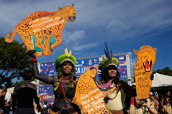 Вы так же истребляете нас: коренные бразильцы сожгли огромные черепа на акции протеста