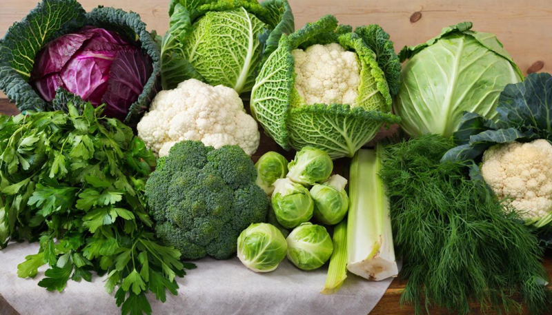Самый полезный продукт. Версия доктора Мясникова