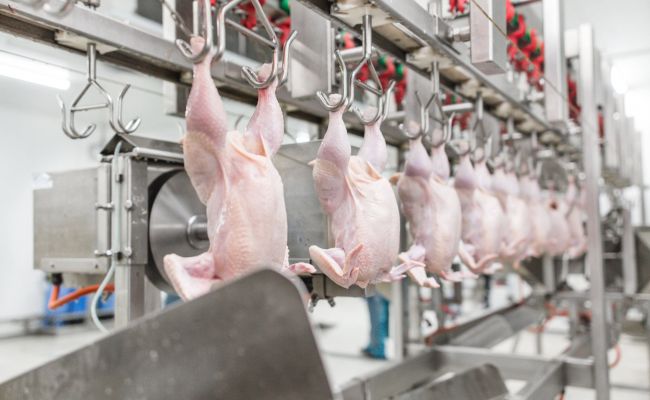 Курам на смех: Российские КАБы ударили по крупнейшей в Европе птицефабрике