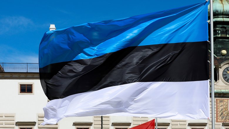 Сенатор предупредил Эстонию о последствиях угроз Петербургу