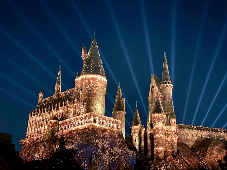 «За один день потратили 60 тысяч»: россиянка честно рассказала о парке Universal Studios в Пекине
