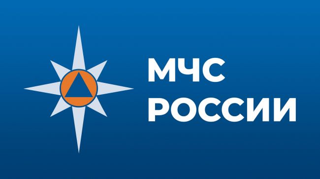 Огнестрельное оружие разрешат применять военнослужащим МЧС для выполнения задач