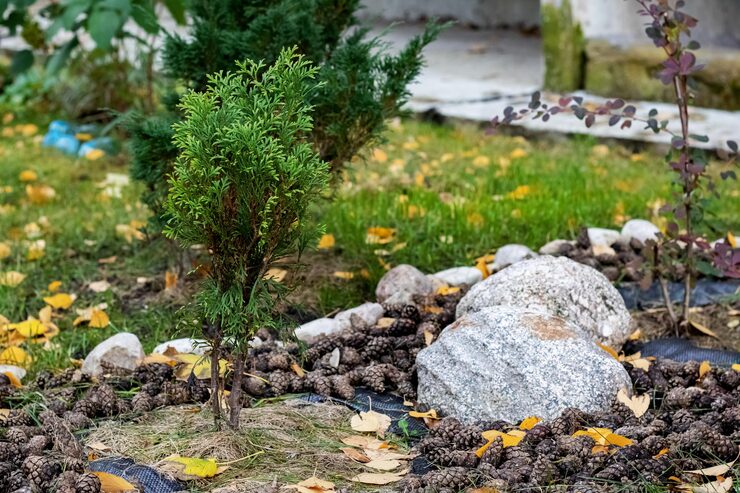 Как сделать клумбу из камней Как сделать клумбу из камней