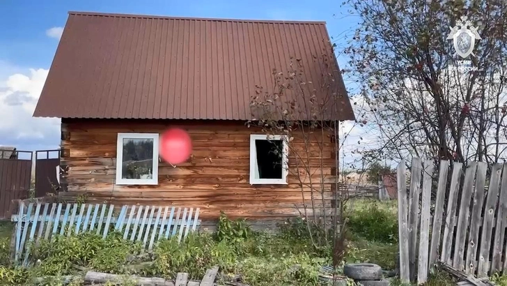 «Он ее с кровати выдернул»: медведь убил пенсионерку в Красноярском крае — на стене дома остались следы его когтей