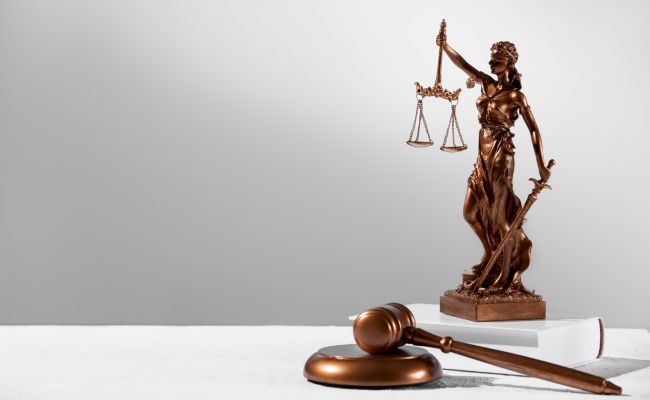 Суд в Москве запретил Лиде Мониаве выходить из дома
